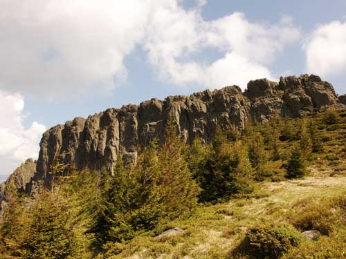 Foto Maiastra scaldata in soare (c) Petru Goja